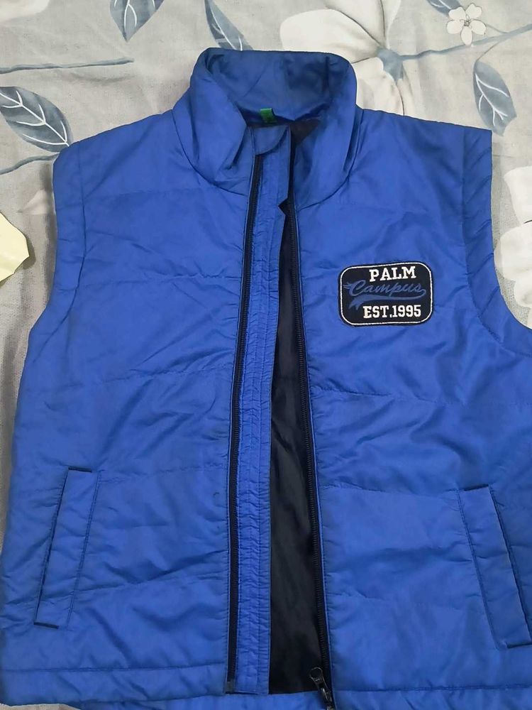 Blue Palm Campus Jacket