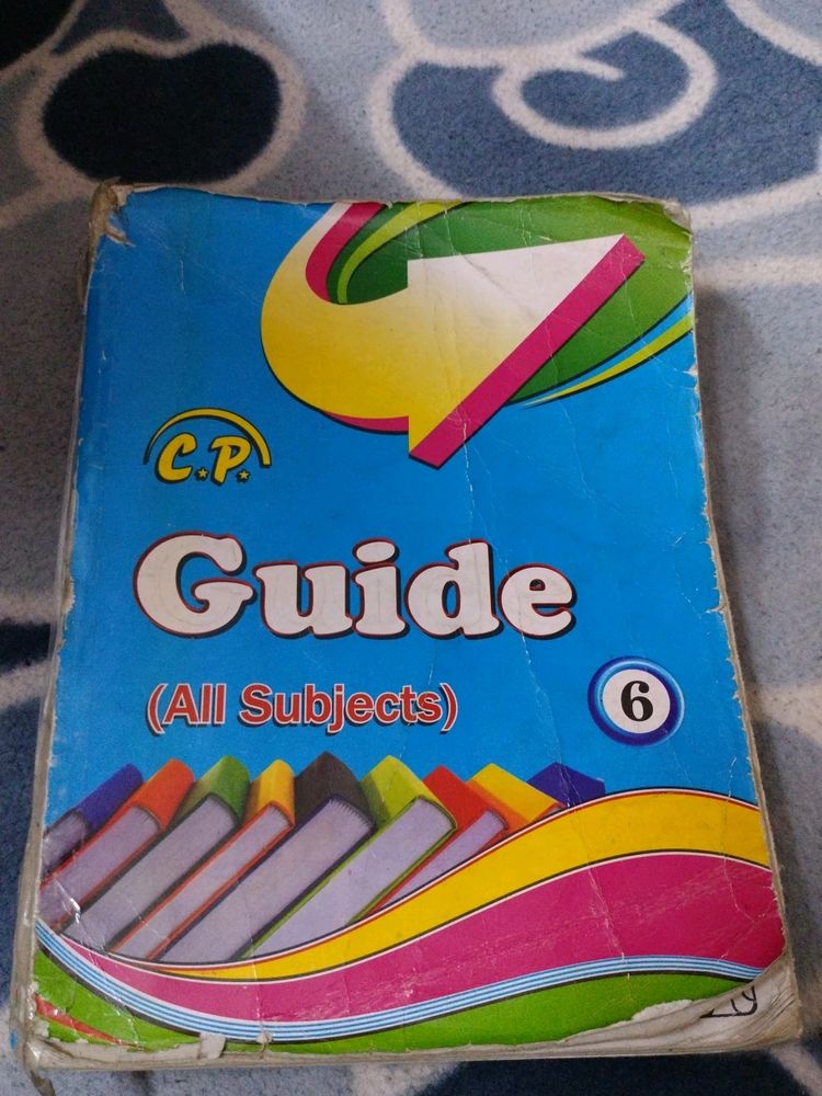 6th Class Guide (C.P)  All Subjects