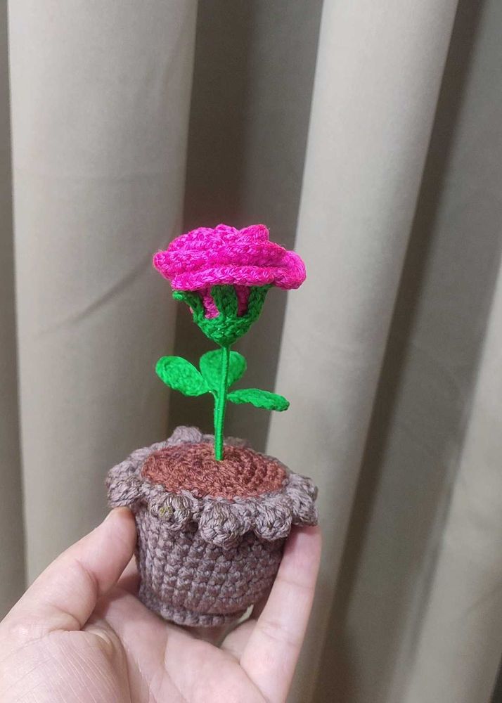 Crochet Rose in Pot