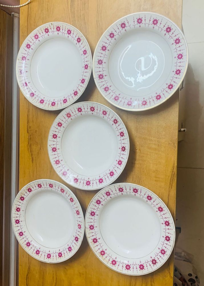 DINNER PLATES