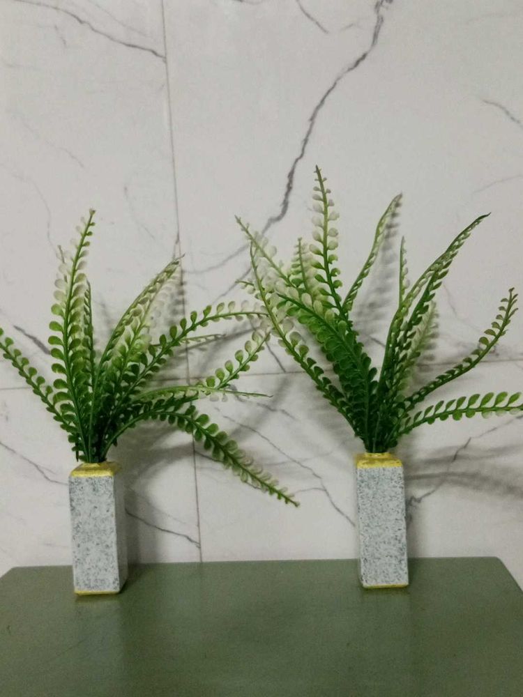 Decorative Ferns in glass Stone Vases (Set of 2)