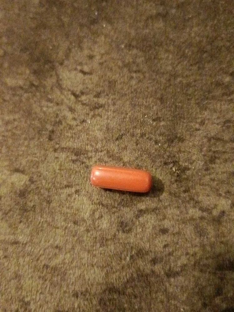 Single Red Coral