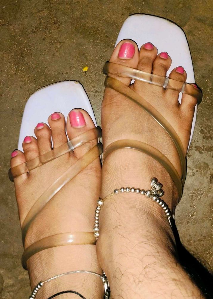 Purple Slipper