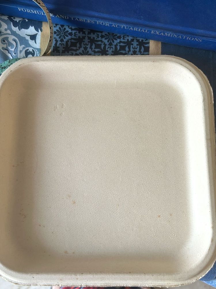 Chuck Disposable Plates
