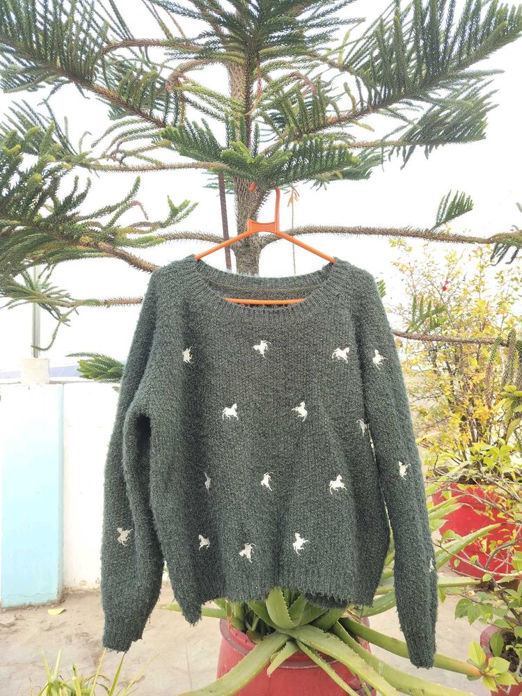 Green Sweater with Unicorns