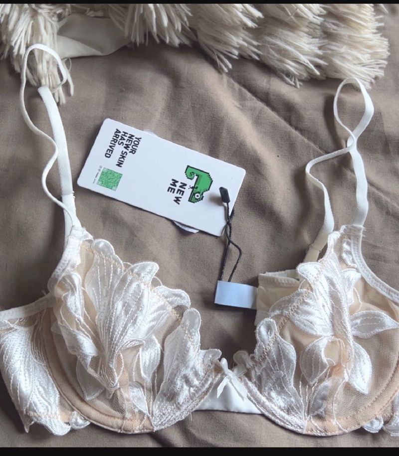 Demi lace Floral applique plunge Bra