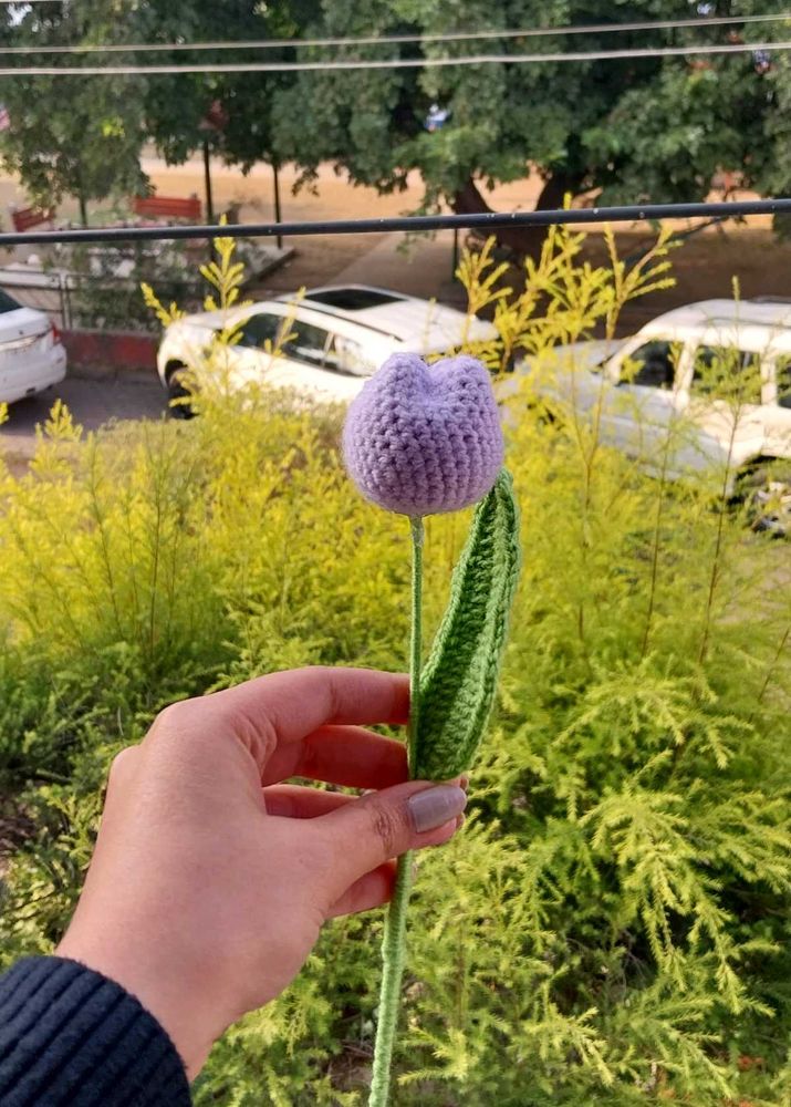 Crochet Tulip