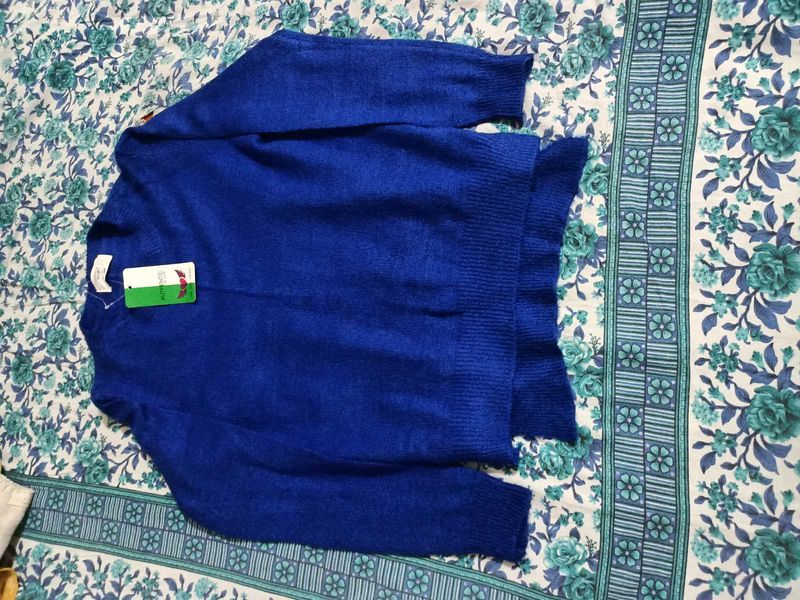 Blue Knit Sweater