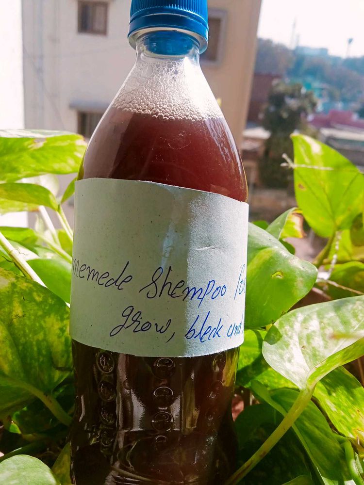 Homemade Shampoo