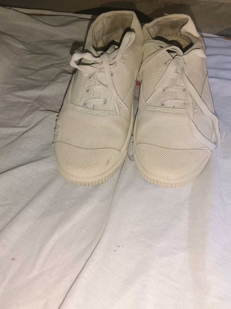Classic White Sneakers