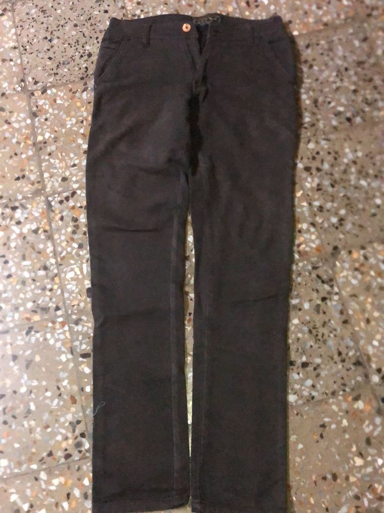 coffee brown Casual Pants