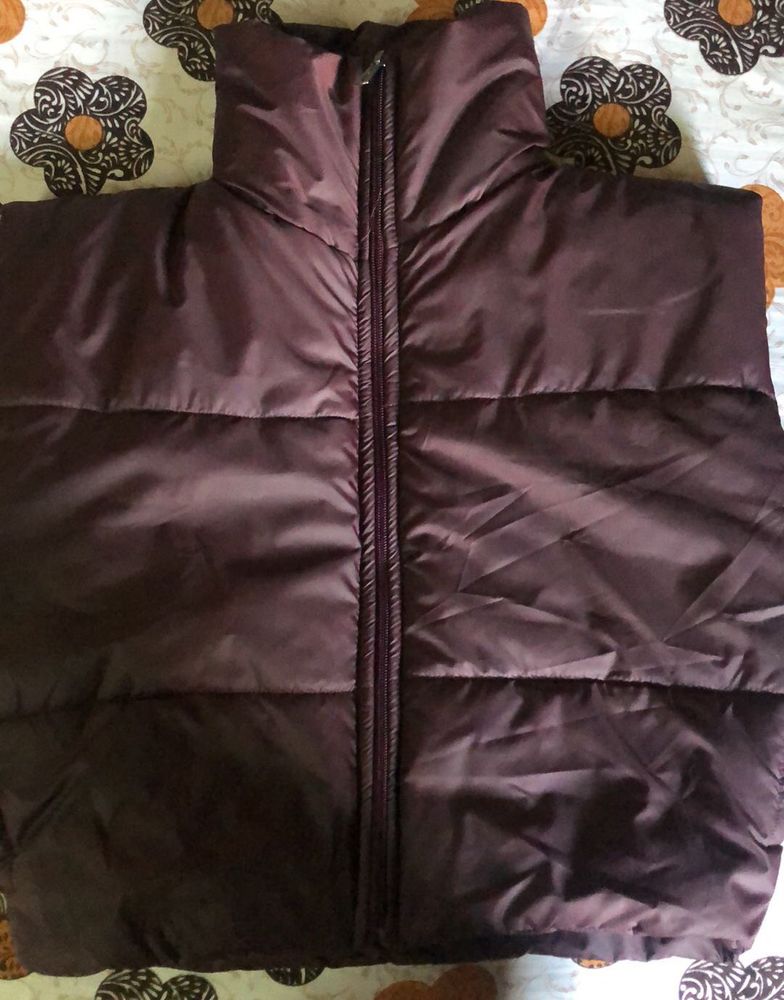 Maroon Padded Jacket