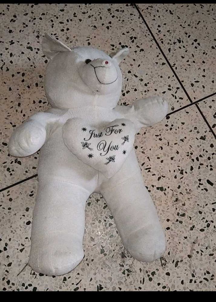 White Plush Bear - 'Just For You'