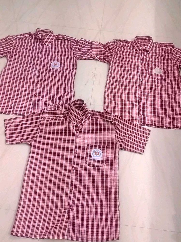 School Shirts Combo