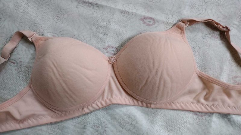 Set of 4 Daily Wear Padded Bra