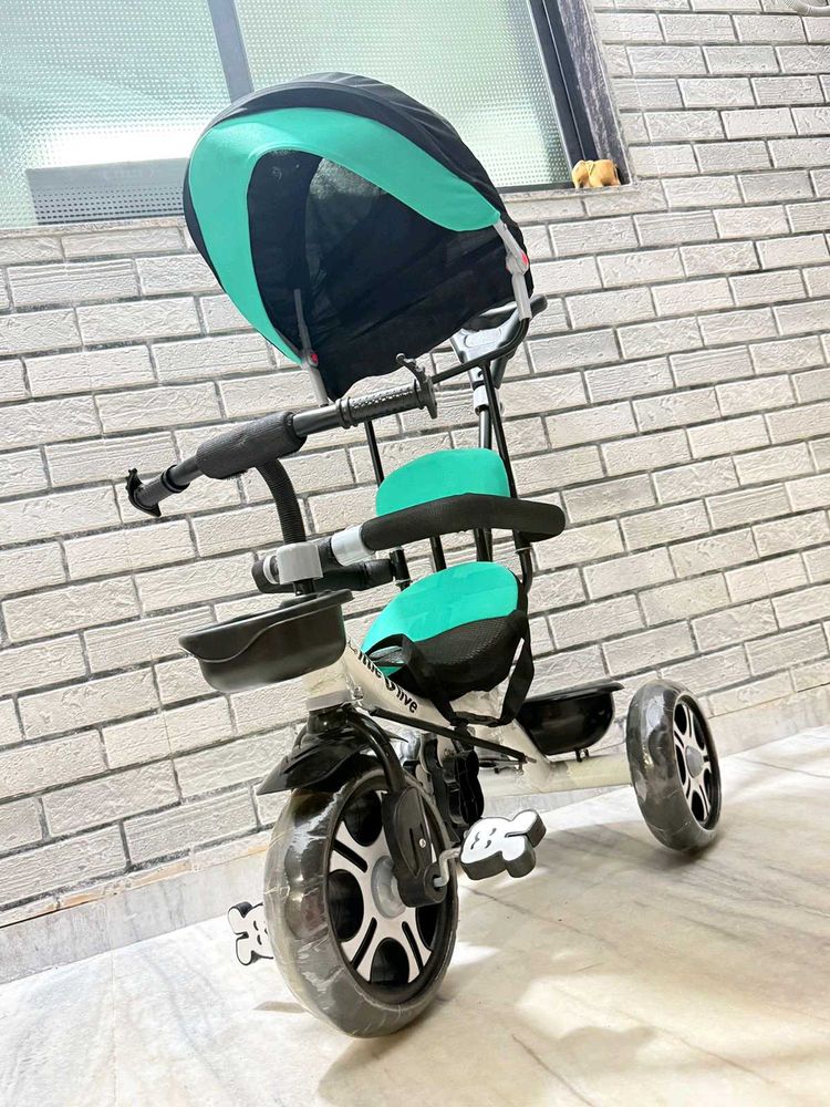 Kids Tricycle with Canopy