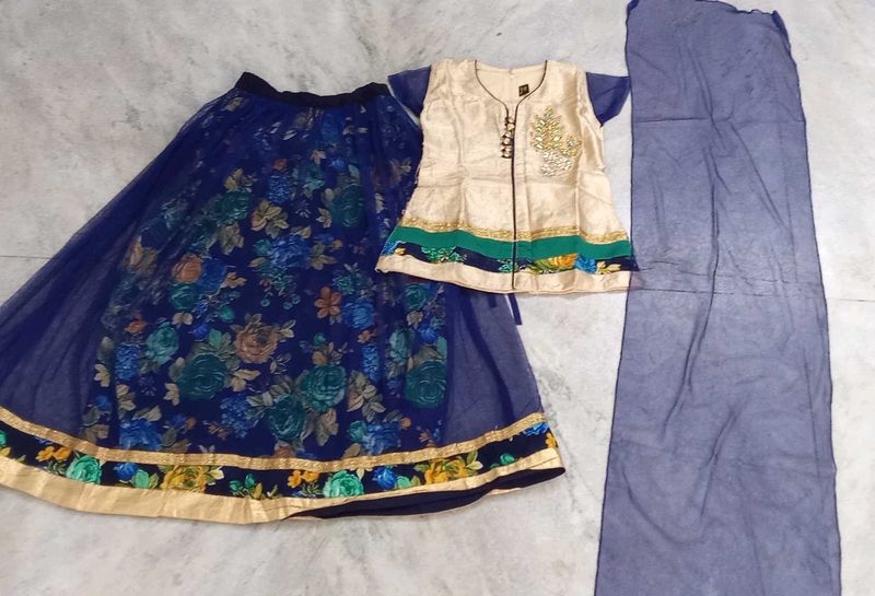 Lehenga Choli(indo western dress)