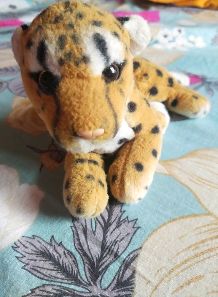 Tiger 🐯