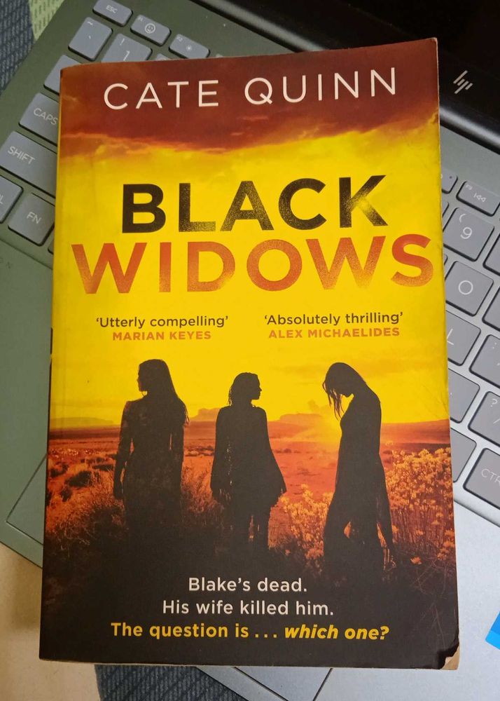 Black Widows by Cate Quinn