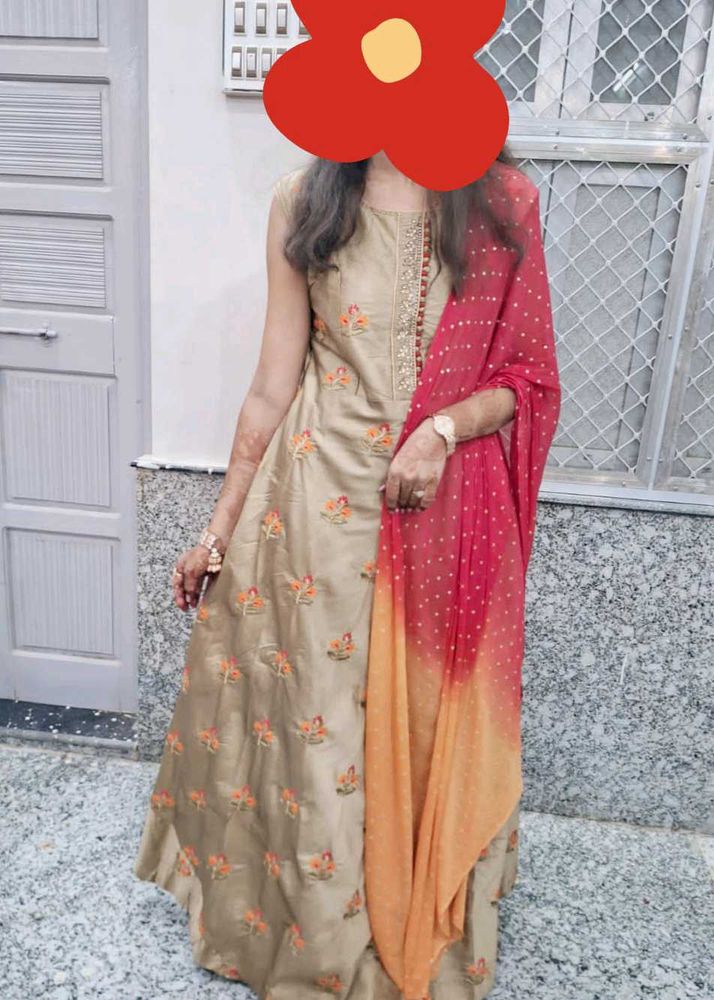 Banarasi Multi Colour Gown😍