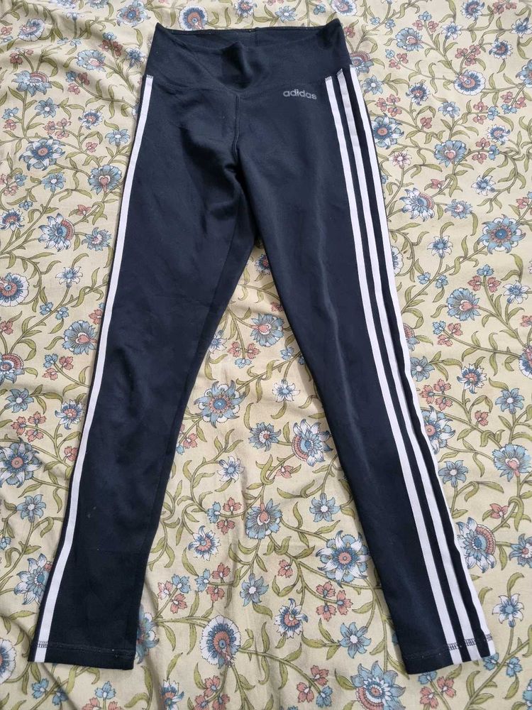Addidas Leggings For Sports Activity