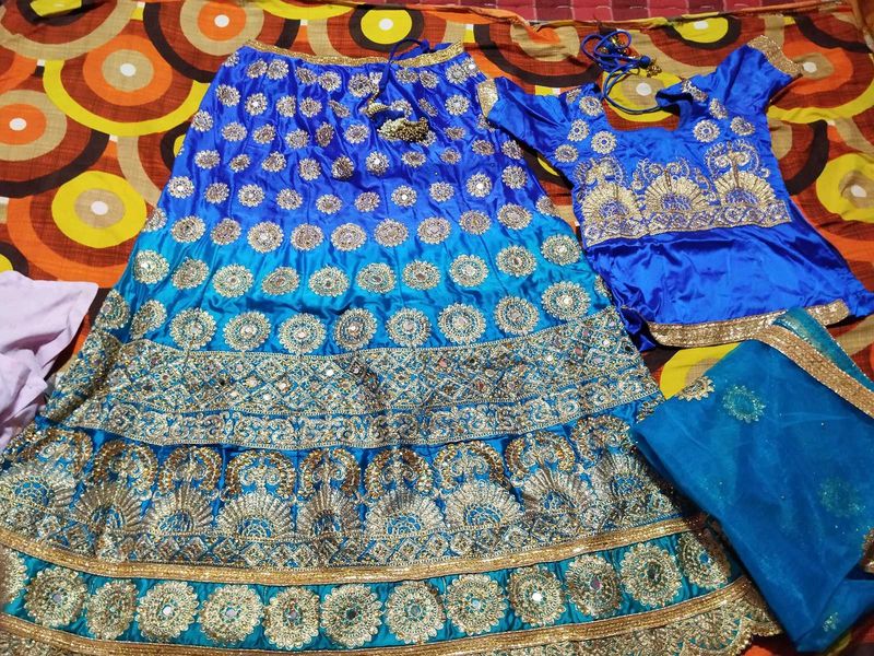 Blue Embroidered Lehenga Choli