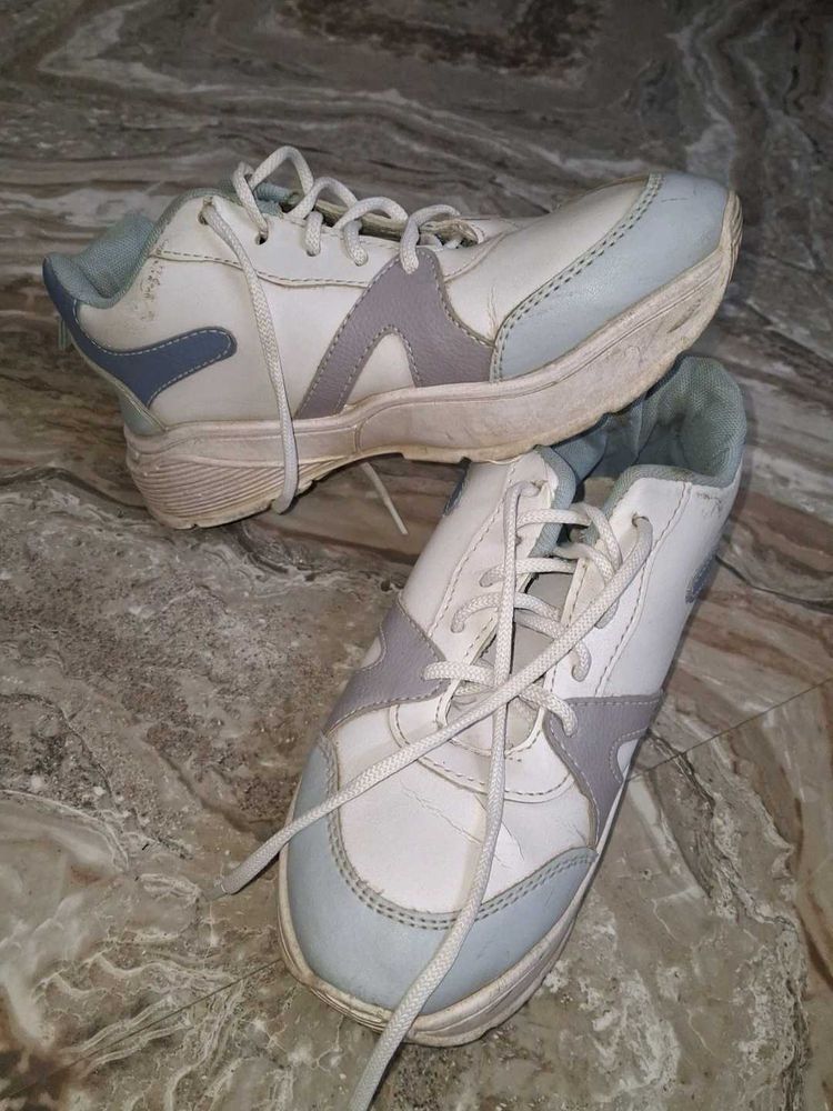 White &amp; Grey Blue Casual Sneakers