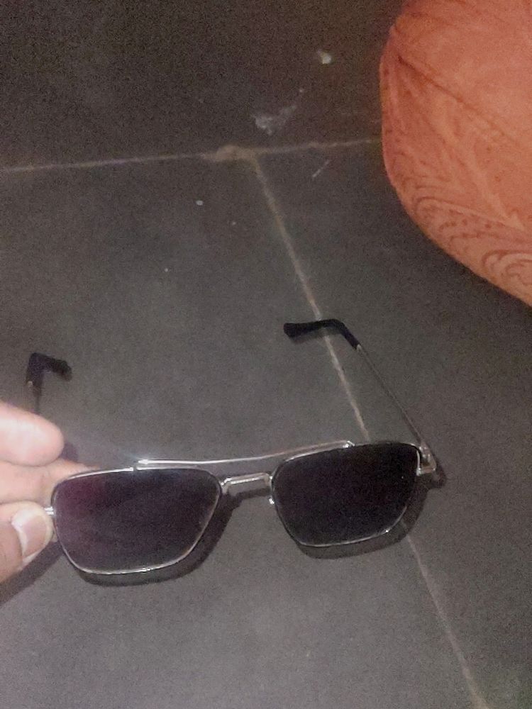 Animal Movie Sunglasses