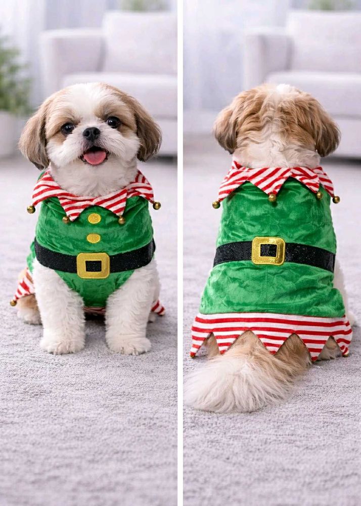 Dog Xmas Elf Costume