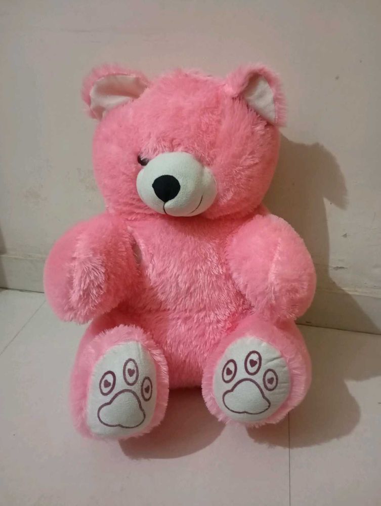 Pink Teddy For Kids