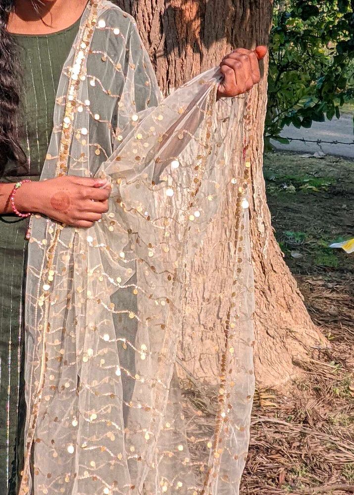 Elegant Dupatta