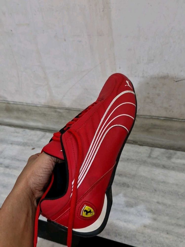 Puma Ferrari Theme Sneakers With Box