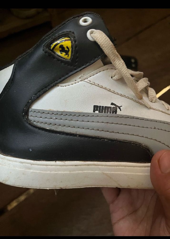 Puma Ferrari Sneakers