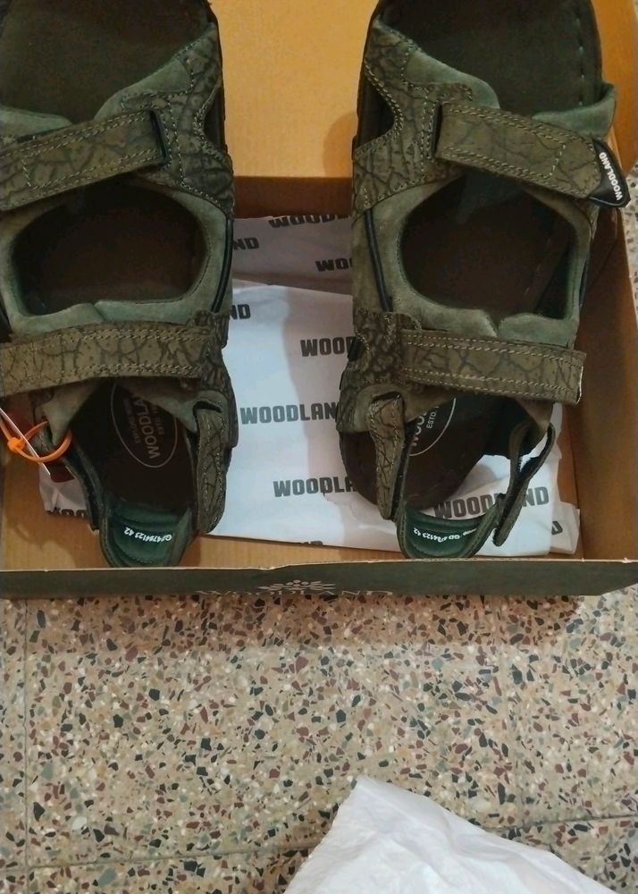 Woodland Chappal