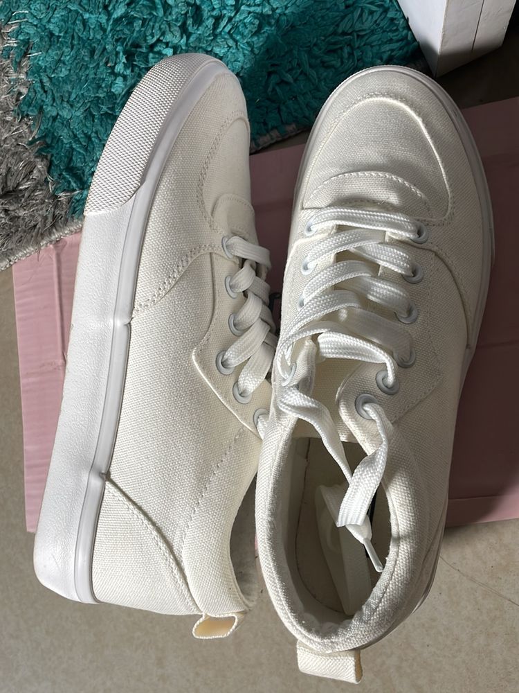 Roadster Canvas Shoes Unisex
