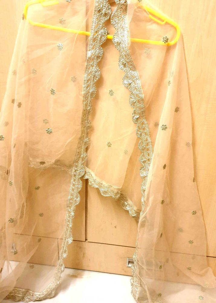 Beautiful Delicate Embroidered Dupatta