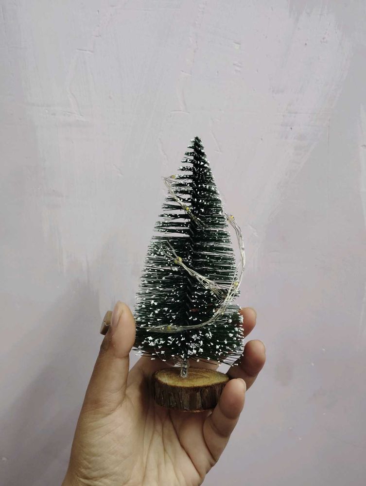 Miniature Christmas Tree✨