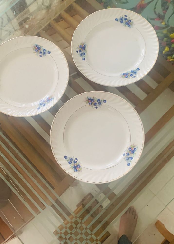 BEAUTIFUL PLATES