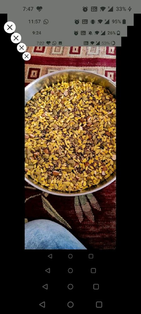 multi seeds