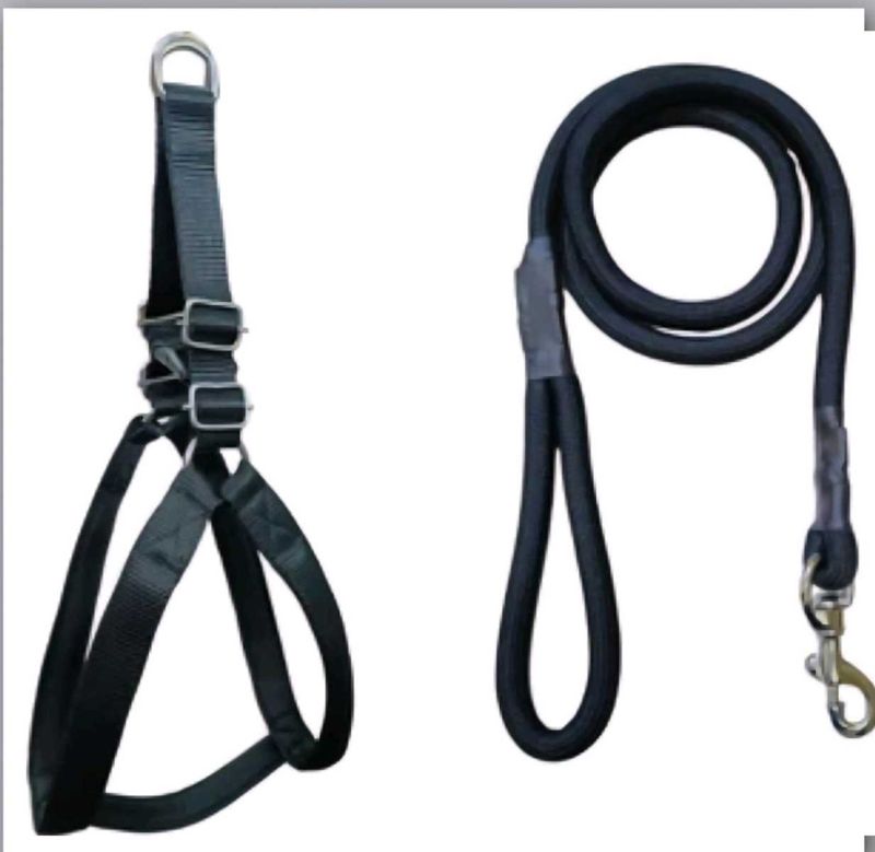 Dog Harnesses
