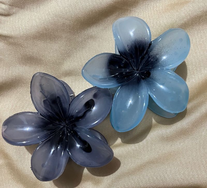 Beautiful Hair Clip