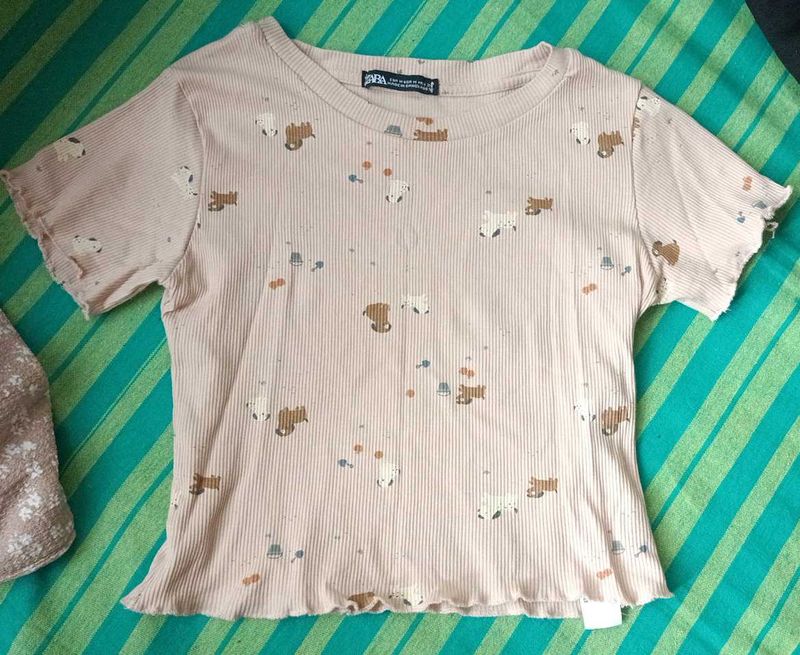 Crop Top For Women