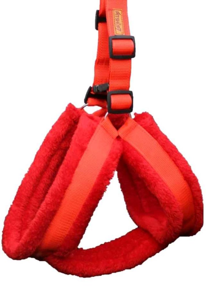 Harness for a big dog