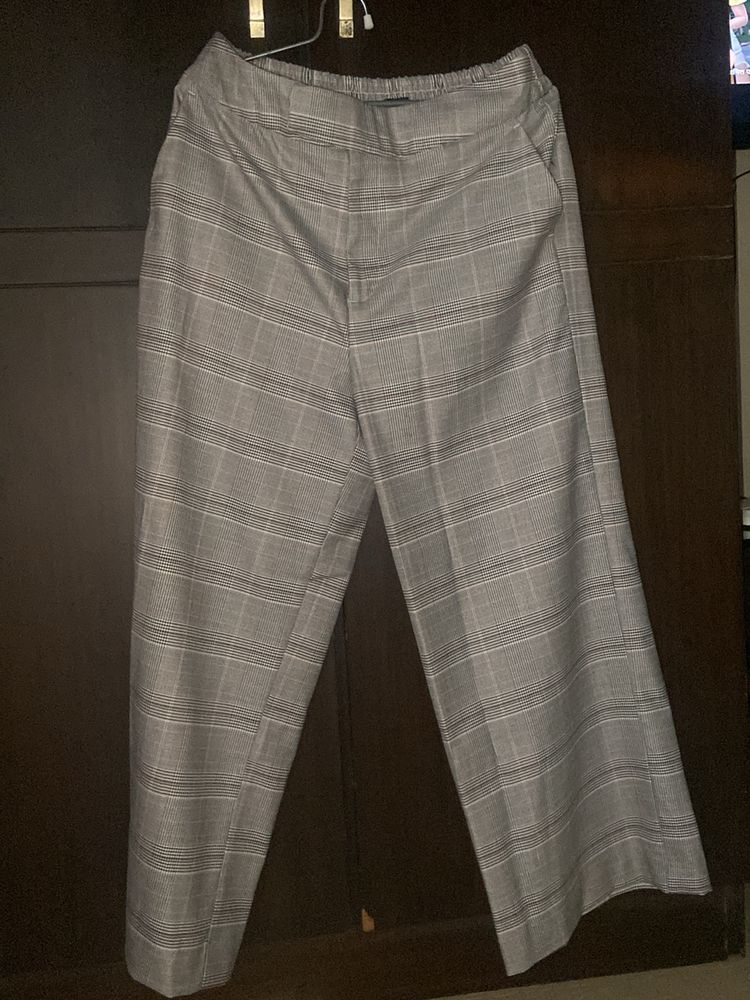 Pant
