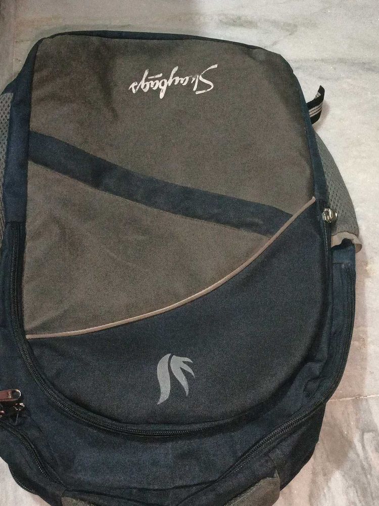 Skybags Backpack - Used