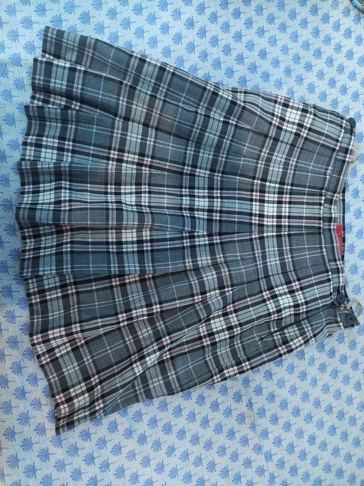 A Party Wear Skirt