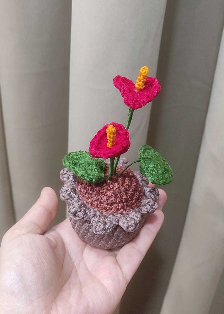 Crochet Anthurium Plant