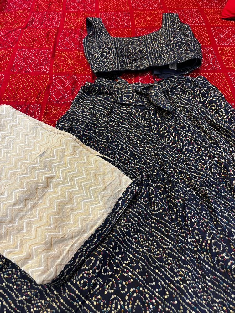 Navy blue Full Chaniya Choli Set