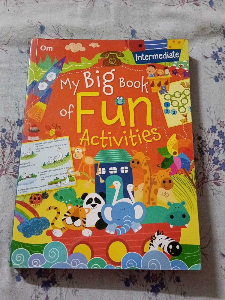 My Big Book Of Fun Activities