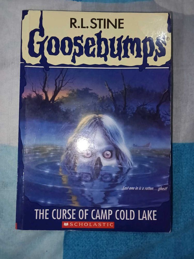 Camp Cold Lake And Horrorland Goosebumps Book